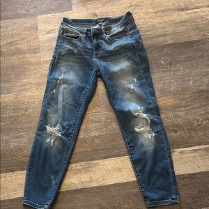 Judy Blue Distressed Skinny Jeans in Blue